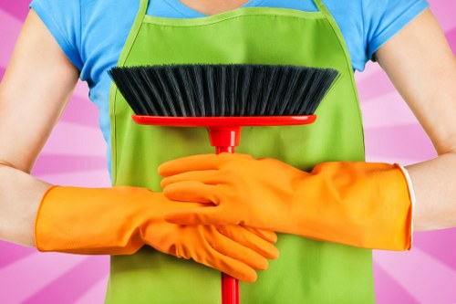 Regular house cleaning service for homes across Haringey