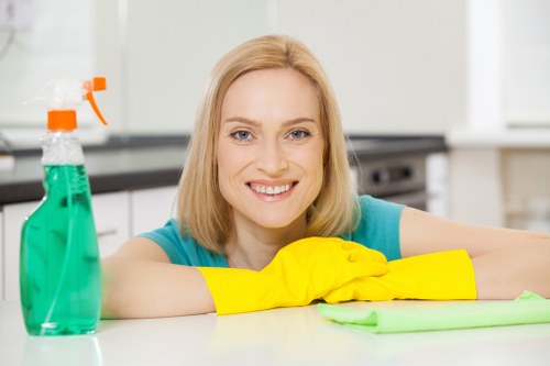 Professional carpets cleaner in Haringey restoring a living room carpet