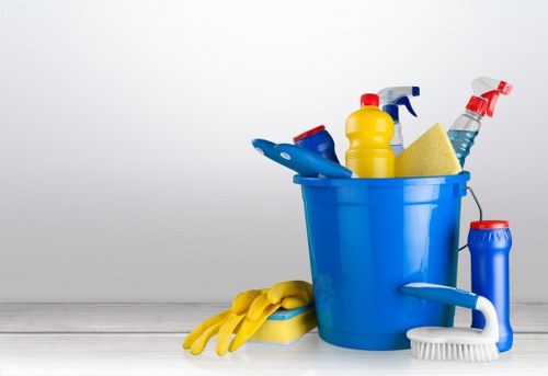 Customer raising a carpet cleaning complaint for review