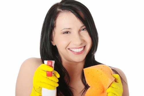 Deep carpet cleaning equipment used in a Haringey property