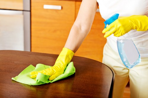 Professional cleaning services in Haringey for homes and businesses